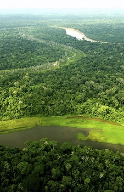 AMAZONAS